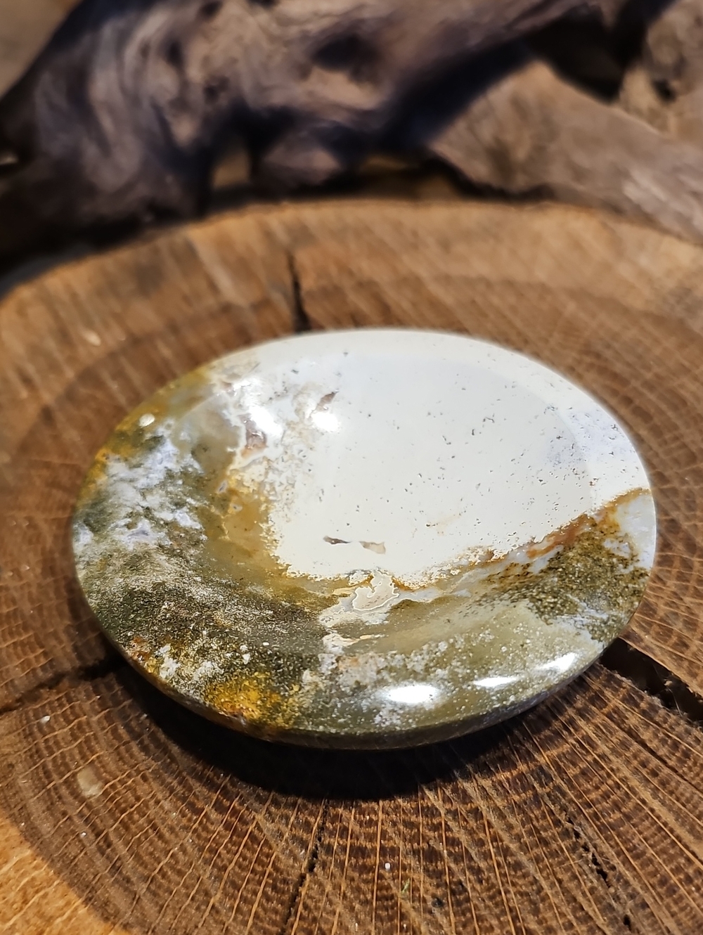 Polished Ocean Jasper Display Dish — Unique Split Color